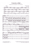 Vivaldi, Antonio - Concerto a minor - AATB