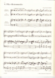 Europäische Barockmusik zur Weihnachtszeit - Soprano & Alto recorder and piano
