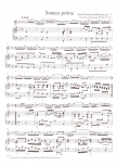 Bellinzani, Paolo Benedetto - Zwölf Sonaten, Band 1 - Altblockflöte und Basso continuo