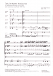 Flauto e voce I - Arien aus dem Barock - für Sopran oder Tenor, Blockflöten u. Bc.