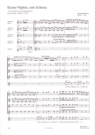 Flauto e voce I - Arien aus dem Barock - für Sopran oder Tenor, Blockflöten u. Bc.