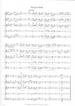 Strauss, Johann (Arr. Joris van Goethem) - Pizzicato-Polka - SSAB(T)