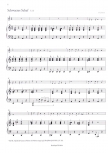 Samtpfoten Swing - Spielbuch 2 für Sopranblockflöte und Klavier