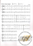 Spiel und Spaß mit der Blockflöte - Spielbuch Band 1 für Altflöte
