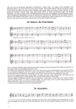 Werner, Almut - Im Notenballon um die Welt -