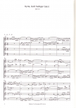 Bach, Johann Sebastian - Soli Deo Gloria - SATB oder AATB