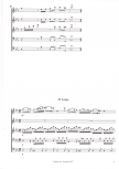 Vivaldi, Antonio - Concerto c-moll RV 107- AAABB/SB