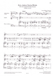 Flauto e voce 17 - Originalkompositionen für Sopran oder Tenor, Bfl und Bc