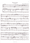 Castello, Dario - Zwei Sonaten - 2 Sopranblockflöten und Bc