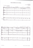 Meier, Brigitte / Zimmermann, Manfredo - Die schiffbrüchigen Schatzsucher - Lehrerband
