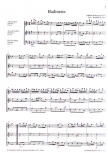 Bach, Johann Sebastian - Orchestersuite h-moll - ATB