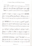 Fiorenza, Nicola / Anonymus - Sonate à Flauto solo è Basso - Altblockflöte und Basso continuo